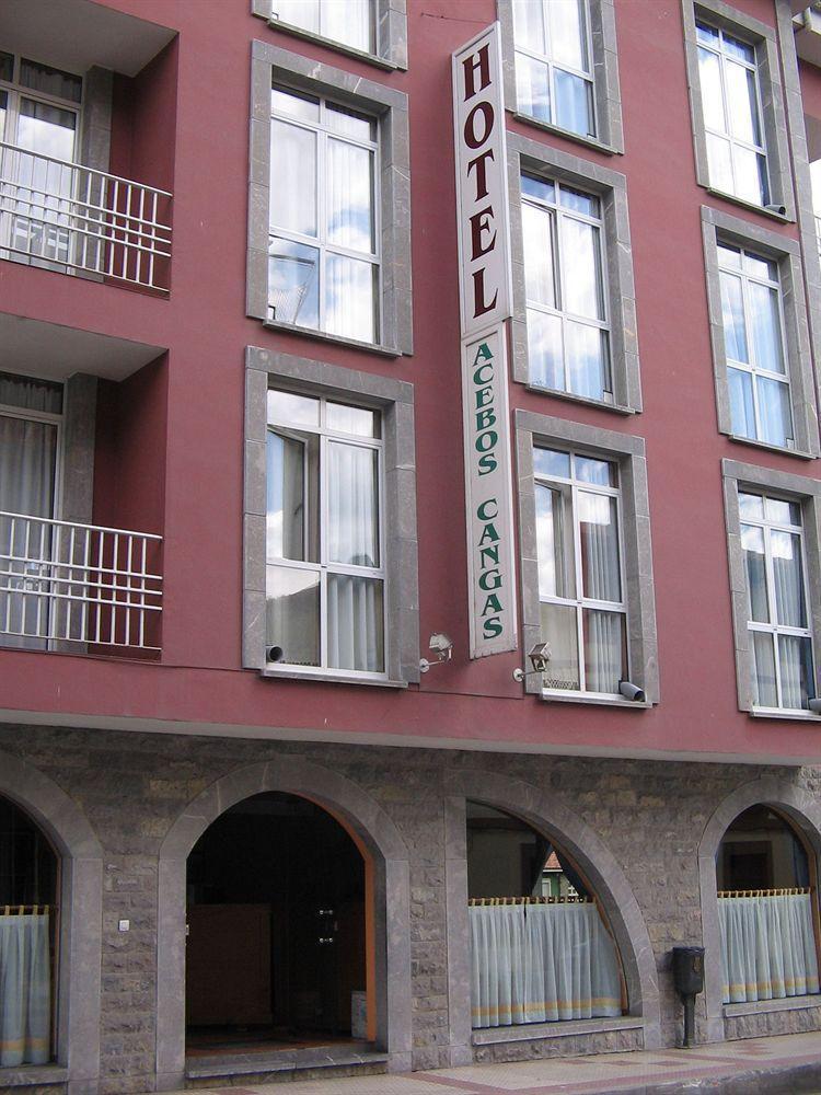 Los Acebos Cangas Onís エクステリア 写真