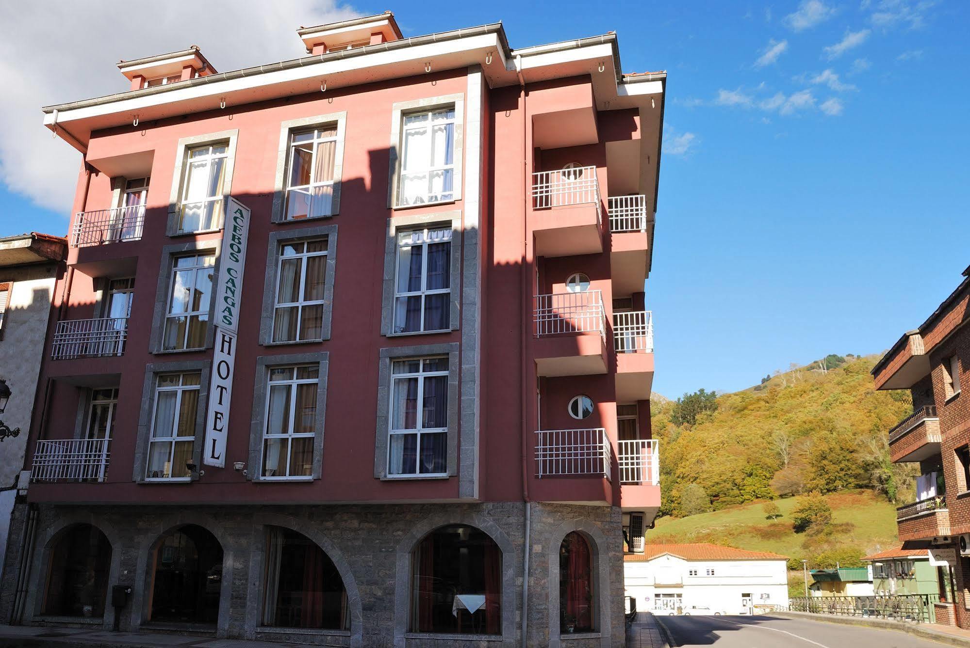 Los Acebos Cangas Onís エクステリア 写真